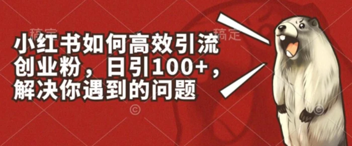 图片[1]-小红书如何高效引流创业粉，日引100+，解决你遇到的问题【揭秘】-蛙蛙资源网