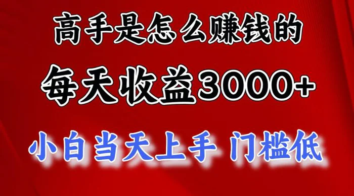 图片[1]-（11228期）高手是怎么赚钱的，一天收益3000+ 这是穷人逆风翻盘的一个项目，非常稳定-蛙蛙资源网