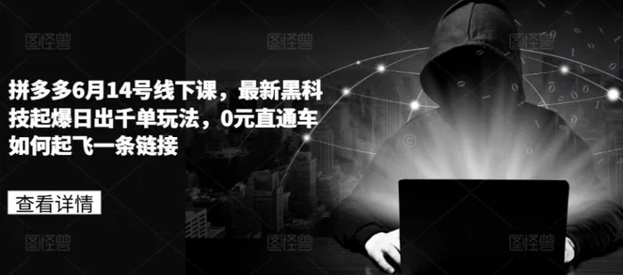 图片[1]-拼多多6月14号线下课，最新黑科技起爆日出千单玩法，0元直通车如何起飞一条链接-蛙蛙资源网