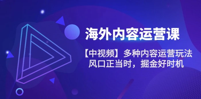 图片[1]-（10833期）海外内容 运营课【中视频】多种内容运营玩法 风口正当时 掘金好时机-101节-蛙蛙资源网