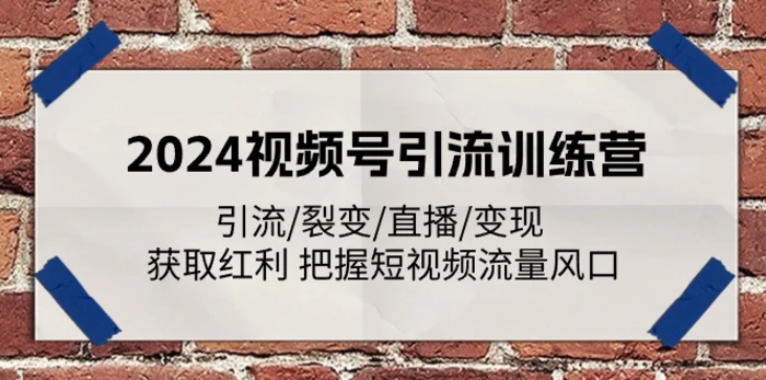 图片[1]-（11337期）2024视频号引流训练营：引流/裂变/直播/变现 获取红利 把握短视频流量风口-蛙蛙资源网