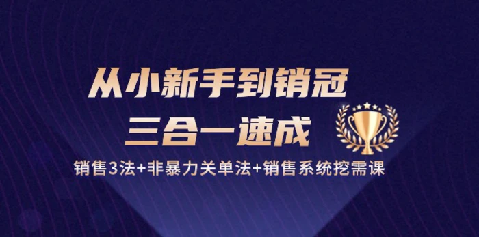 图片[1]-从小新手到销冠三合一速成：销售3法+非暴力关单法+销售系统挖需课 (27节)-蛙蛙资源网