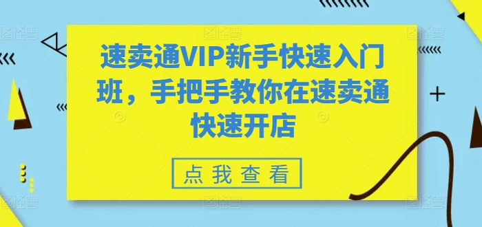 图片[1]-速卖通VIP新手快速入门班，手把手教你在速卖通快速开店-蛙蛙资源网