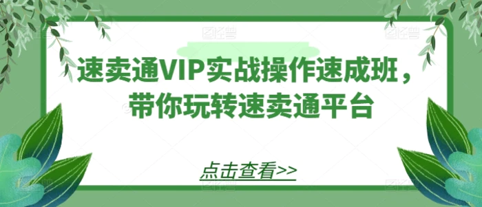 图片[1]-速卖通VIP实战操作速成班，带你玩转速卖通平台-蛙蛙资源网