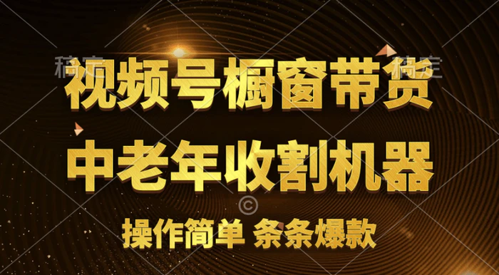 图片[1]-（11009期）视频号最火爆赛道，橱窗带货，流量分成计划，条条原创爆款-蛙蛙资源网