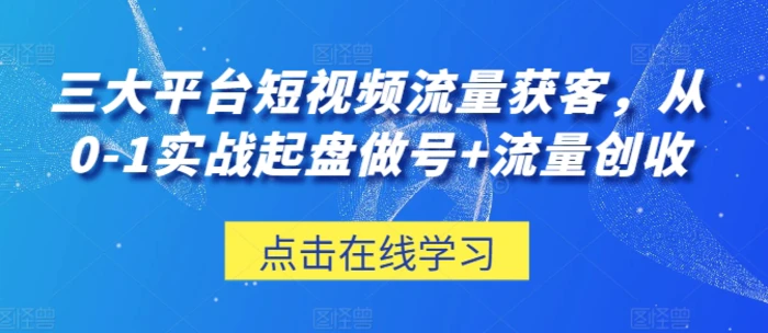 图片[1]-三大平台短视频流量获客，从0-1实战起盘做号+流量创收-蛙蛙资源网