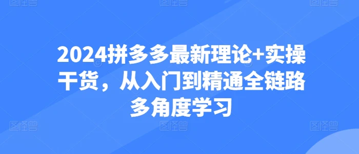 图片[1]-2024拼多多最新理论+实操干货，从入门到精通全链路多角度学习-蛙蛙资源网