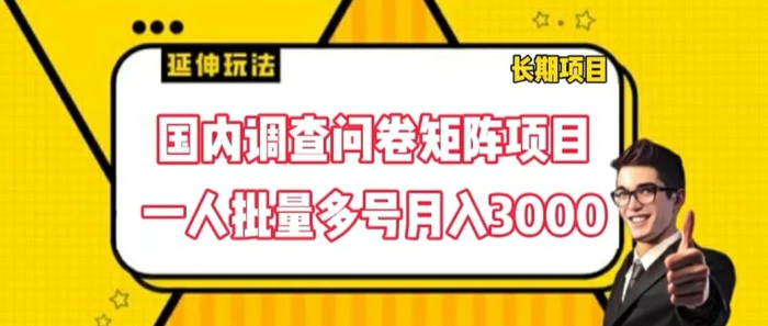 图片[1]-国内调查问卷矩阵项目，一人批量多号月入3000-蛙蛙资源网