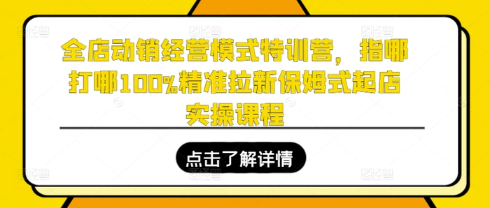 图片[1]-全店动销经营模式特训营，指哪打哪100%精准拉新保姆式起店实操课程-蛙蛙资源网