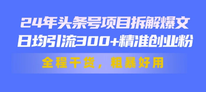 图片[1]-24年头条号项目拆解爆文，日均引流300+精准创业粉，全程干货，粗暴好用-蛙蛙资源网