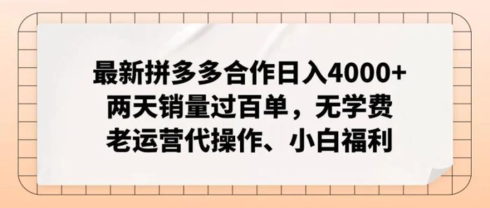 图片[1]-（11343期）最新拼多多合作日入4000+两天销量过百单，无学费、老运营代操作、小白福利-蛙蛙资源网