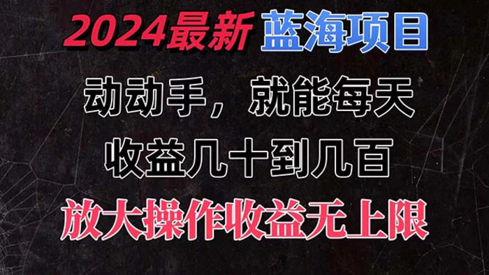 图片[1]-（11470期）有手就行的2024全新蓝海项目，每天1小时收益几十到几百，可放大操作收…-蛙蛙资源网