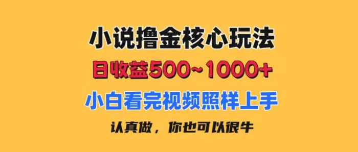 图片[1]-（11461期）小说撸金核心玩法，日收益500-1000+，小白看完照样上手，0成本有手就行-蛙蛙资源网