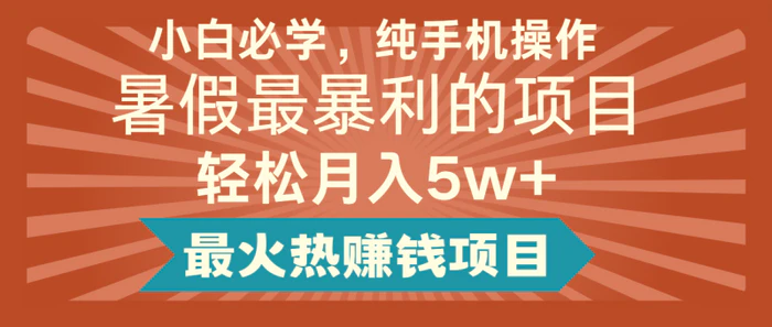 图片[1]-2024暑假最赚钱的项目，简单无脑操作，每单利润最少500+，轻松月入5万+-蛙蛙资源网