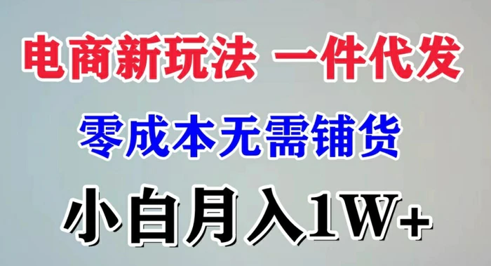 图片[1]-电商新玩法 一件代发,零成本无需铺货，小白月入1W+-蛙蛙资源网