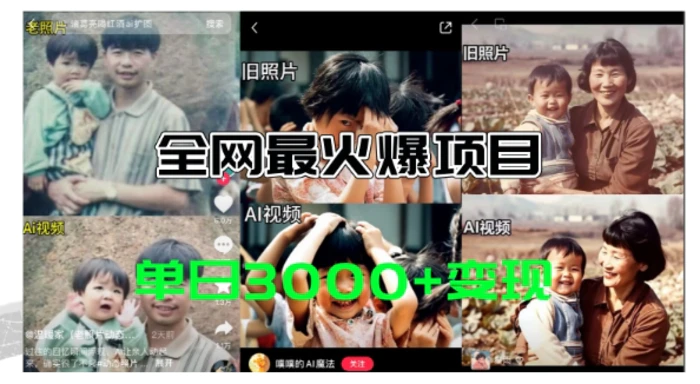 图片[1]-全网爆火的AI让老照片动起来教程，蹭热点日赚3k+，内含免费工具一键可生成【揭秘】-蛙蛙资源网