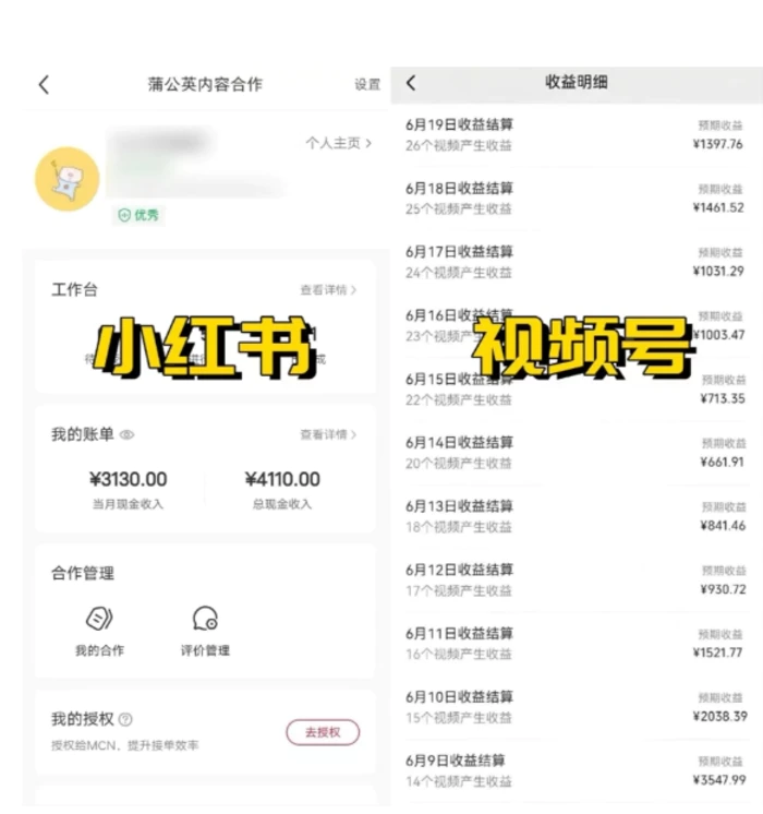 图片[2]-全网爆火的AI让老照片动起来教程，蹭热点日赚3k+，内含免费工具一键可生成【揭秘】-蛙蛙资源网