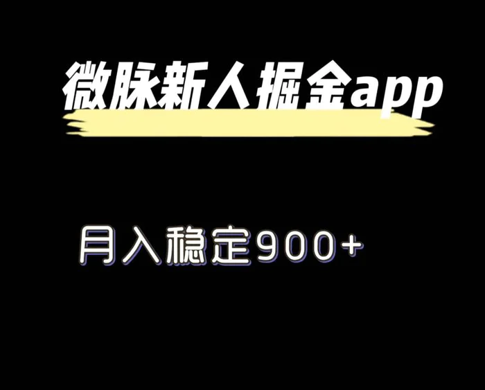 图片[1]-最新微脉长久项目，拉新掘金，月入稳定900+-蛙蛙资源网