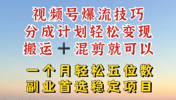 图片[1]-视频号爆流技巧，分成计划轻松变现，搬运 +混剪就可以，一个月轻松五位数稳定项目【揭秘】-蛙蛙资源网