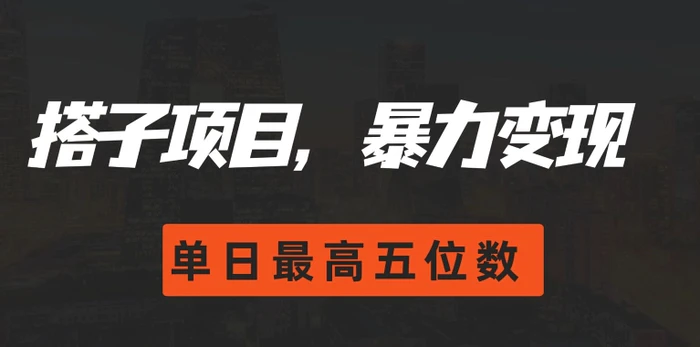 图片[1]-搭子项目，暴力变现，单日最高破五位数-蛙蛙资源网