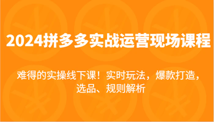 图片[1]-2024拼多多实战运营现场课，实时玩法，爆款打造，选品、规则解析，难得的实操线下课！-蛙蛙资源网