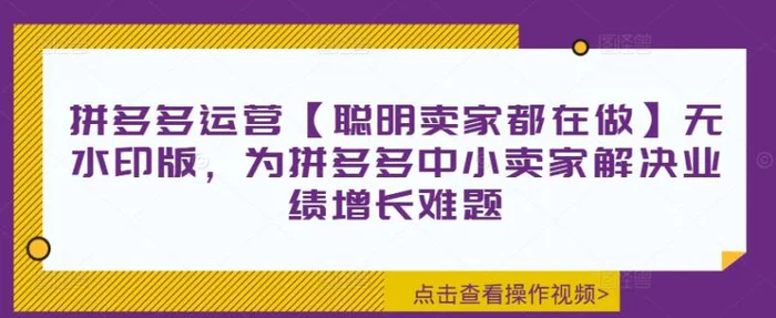 图片[1]-拼多多运营【聪明卖家都在做】无水印版，为拼多多中小卖家解决业绩增长难题-蛙蛙资源网