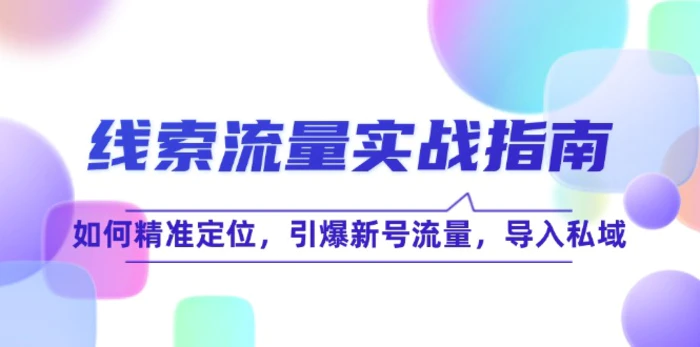 图片[1]-（12382期）线 索 流 量-实战指南：如何精准定位，引爆新号流量，导入私域-蛙蛙资源网