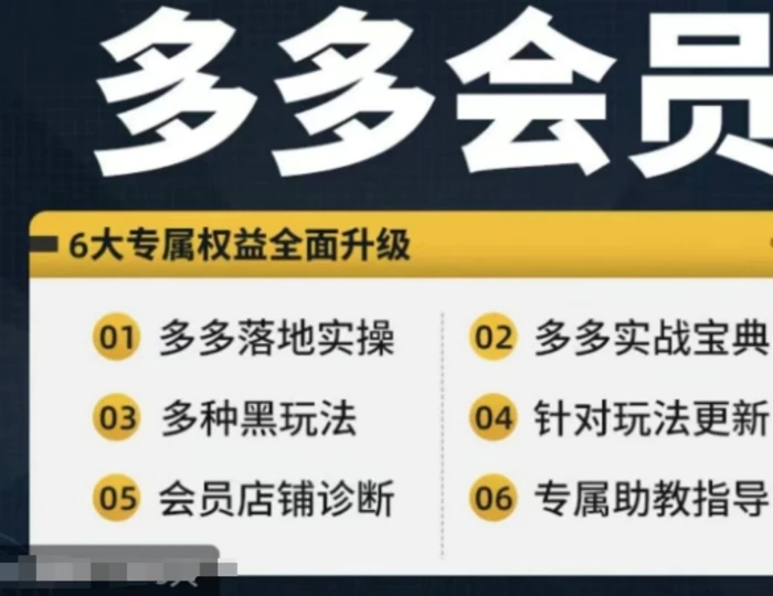 图片[1]-拼多多会员，拼多多实战宝典+实战落地实操，从新手到高阶内容全面覆盖-蛙蛙资源网