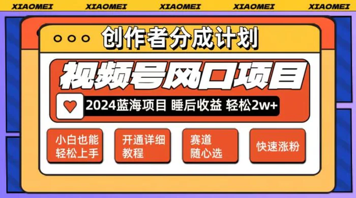 图片[1]-（12084期）微信视频号大风口项目 轻松月入2w+ 多赛道选择，可矩阵，玩法简单轻松上手-蛙蛙资源网