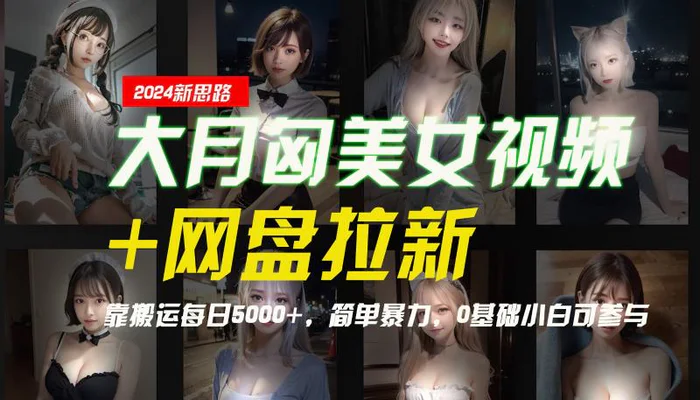 图片[1]-【新思路】大月匈美女视频+网盘拉新，靠搬运每日5000+，简单暴力，0基础小白可参与-蛙蛙资源网