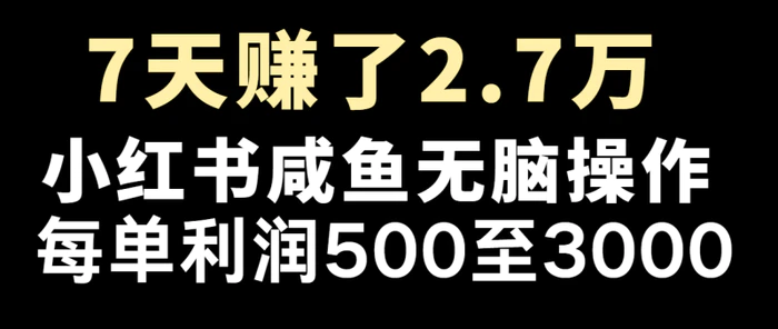 图片[1]-七天赚了2.7万！每单利润最少500+，轻松月入5万+小白有手就行-蛙蛙资源网