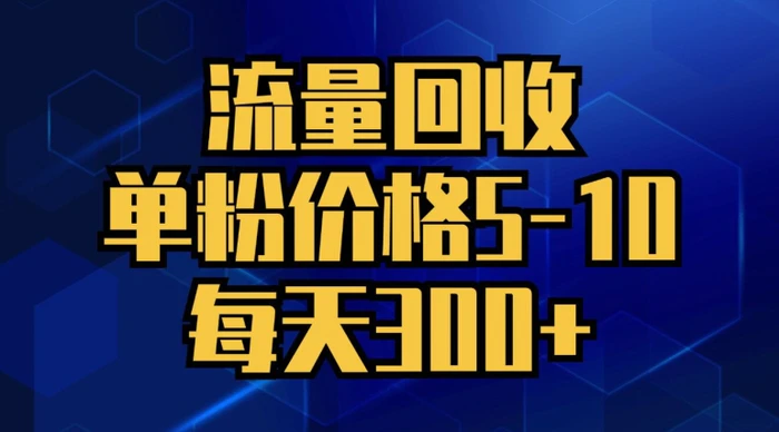 图片[1]-流量回收，单粉价格5-10，每天300+，轻松月入五位数-蛙蛙资源网