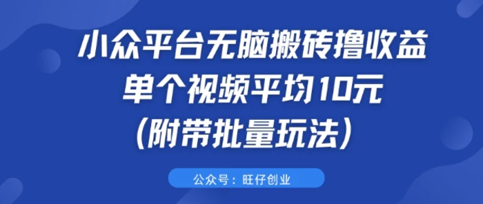 图片[1]-小众平台无脑搬砖撸收益 单个视频平均10元 (附带批量玩法)-蛙蛙资源网