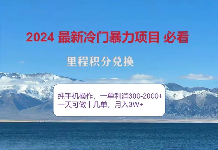 图片[1]-2024惊爆冷门暴利，里程积分最新玩法，高爆发期，一单300+—2000+-蛙蛙资源网