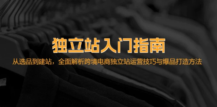 图片[1]-独立站入门指南：从选品到建站，全面解析跨境电商独立站运营技巧与爆品打造方法-蛙蛙资源网