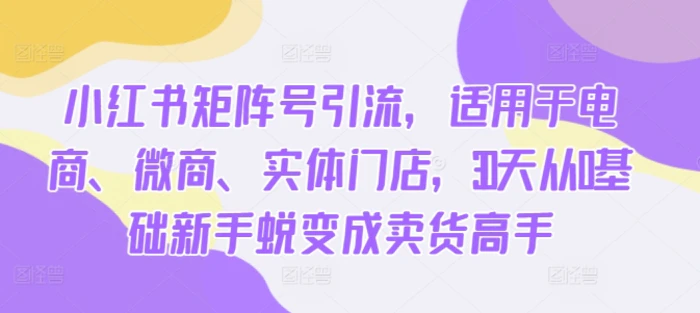 图片[1]-小红书矩阵号引流，适用于电商、微商、实体门店，30天从0基础新手蜕变成卖货高手-蛙蛙资源网