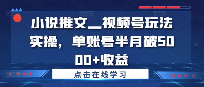 图片[1]-小说推文—视频号玩法实操，单账号半月破5000+收益-蛙蛙资源网