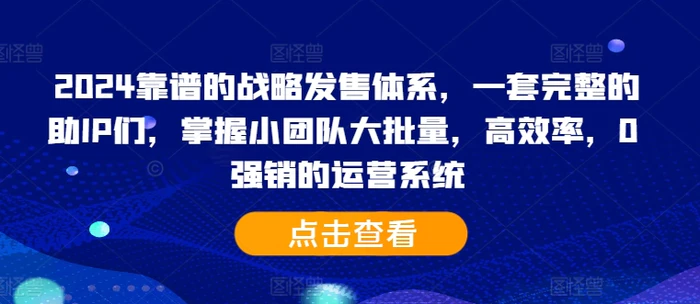 图片[1]-2024靠谱的战略发售体系，一套完整的助IP们，掌握小团队大批量，高效率，0 强销的运营系统-蛙蛙资源网