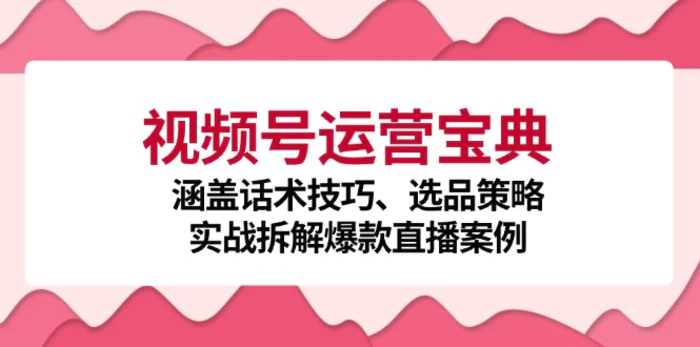 图片[1]-视频号运营宝典：涵盖话术技巧、选品策略、实战拆解爆款直播案例-蛙蛙资源网